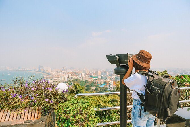 From Bangkok: Full Day Customizable Private Tour to Pattaya City - Transportation and Comfort