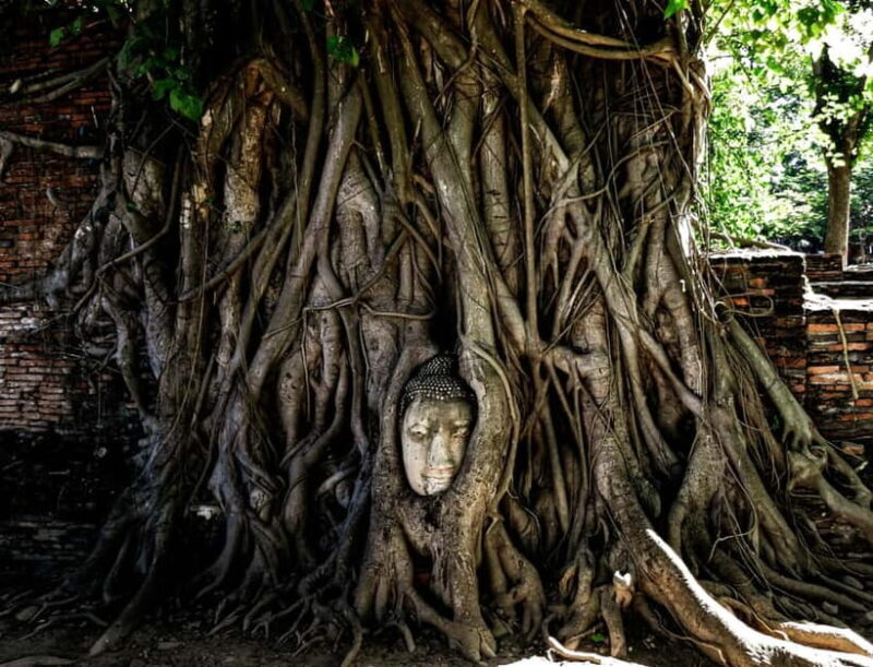 From Bangkok: Iconic Ayutthaya Tour By Rail, Road, and River - Visiting the Temples: Wat Yai Chai Mongkhon and Wat Mahathat