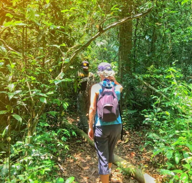 From Bangkok: Khao Yai National Park Small-Group Day Trip - An In-Depth Look at the Khao Yai Day Trip