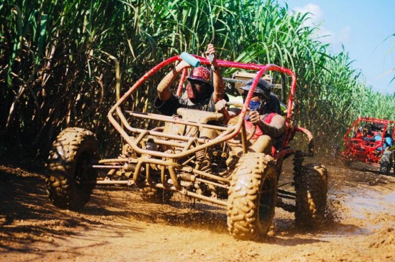 From Bayahibe: Half-day La Romana ATV or 4X4 Buggy Tour - Setting the Scene: What You Can Expect