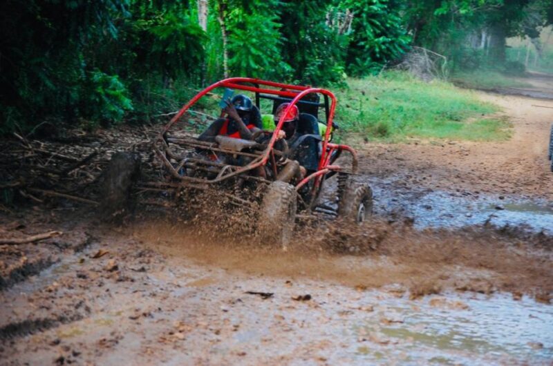 From Bayahibe: Half-day La Romana ATV or 4X4 Buggy Tour - The Sum Up: Is This Tour Right for You?