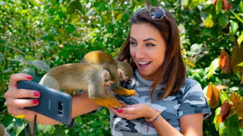 From Bayahibe: Half Day Monkeyland Safari - Practical Tips for Travelers