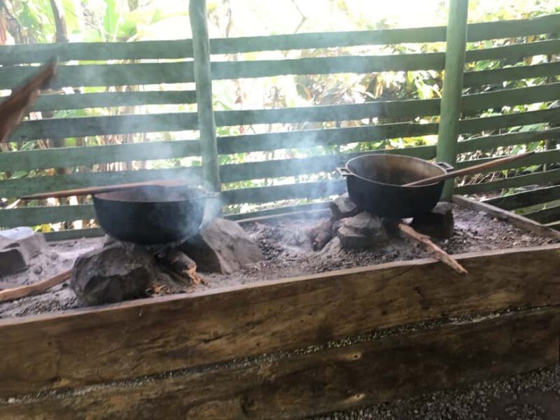 From Bayahibe: Half Day Monkeyland Safari - The Sum Up: Is It Worth It?