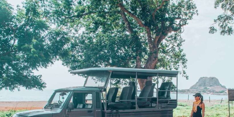 From Bentota: Full-Day Yala National Park Safari Tour - What Travelers Say