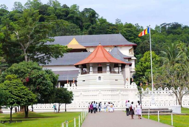 From Bentota/Kalutara: Magical Journey to Kandy & Pinnawala - In-Depth Travel Experience