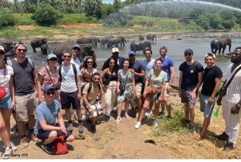 From Bentota/Kalutara: Magical Journey to Kandy & Pinnawala - Final Thoughts