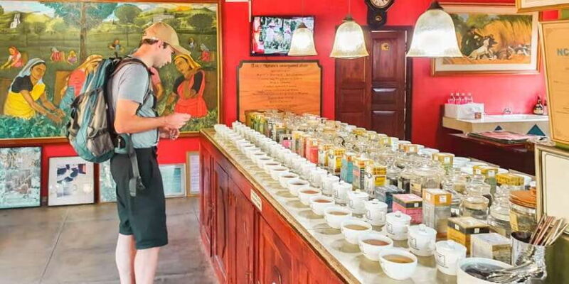 From Bentota: Southern Coast Highlights Private Day Tour - Authenticity and Value