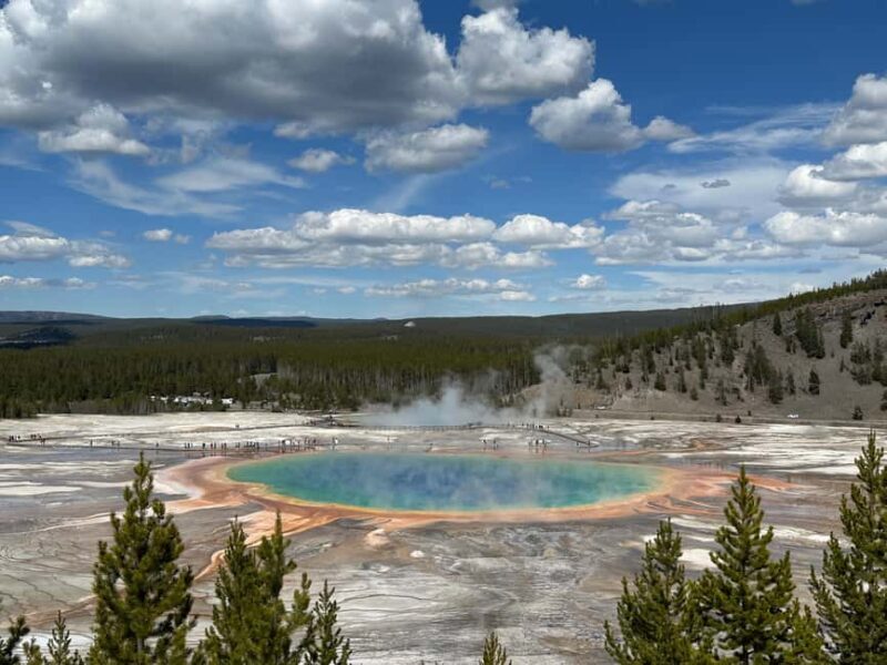From Bozeman: Yellowstone Day Tour (Lower Loop) - A Detailed Look at What to Expect