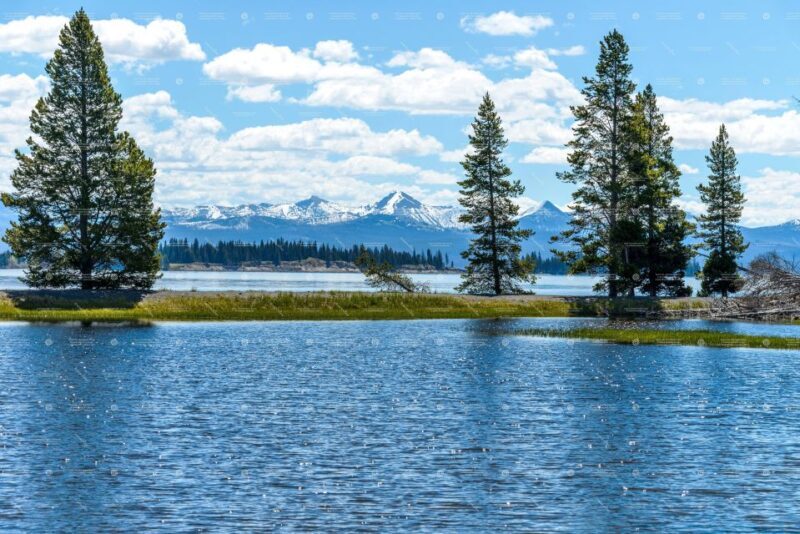 From Bozeman: Yellowstone Day Tour (Lower Loop) - Who Should Consider This Tour?