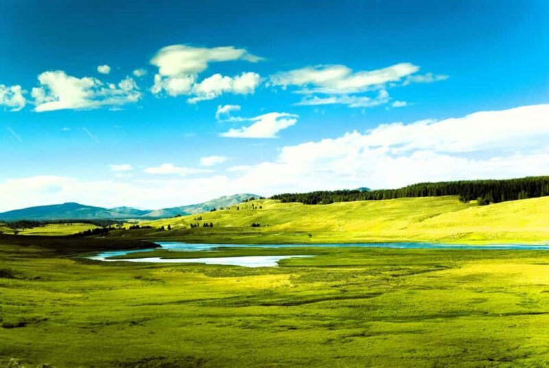 From Bozeman: Yellowstone Day Tour (Upper Loop) - The Itinerary: What You Can Expect
