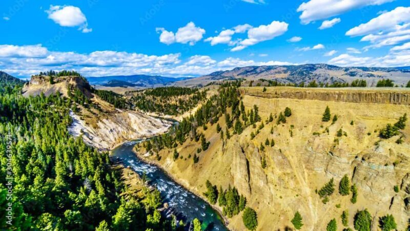From Bozeman: Yellowstone Day Tour (Upper Loop) - The Experience of a Guided Tour