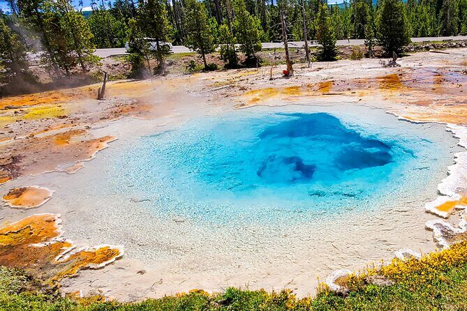 From Bozeman Yellowstone Full Day Tour Lower Loop - Key Points