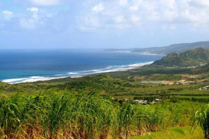From Bridgetown: Barbados Coast To Coast Half-Day Tour - An In-Depth Look at the Itinerary