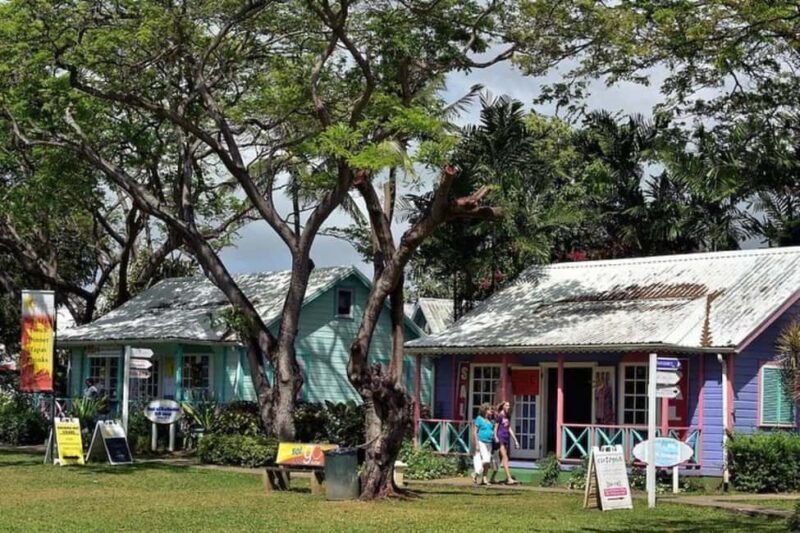 From Bridgetown: Barbados Coast To Coast Half-Day Tour - Practical Details and What to Expect