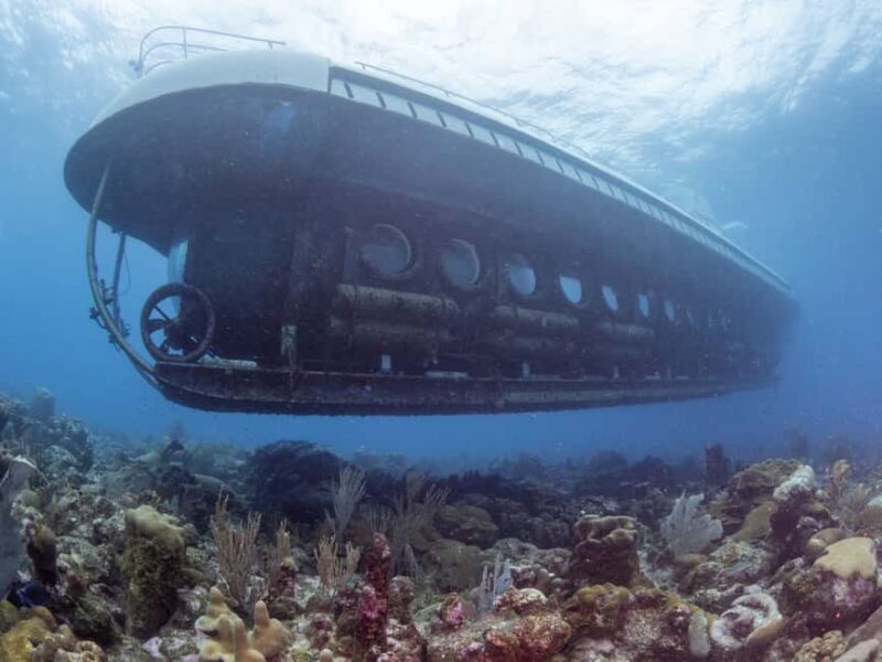 From Bridgetown: Scenic Boat and Submarine Tour - A Detailed Look at the Experience