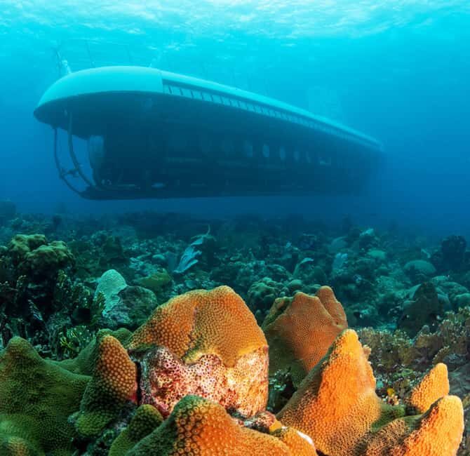 From Bridgetown: Scenic Boat and Submarine Tour - Who Will Love This Tour?