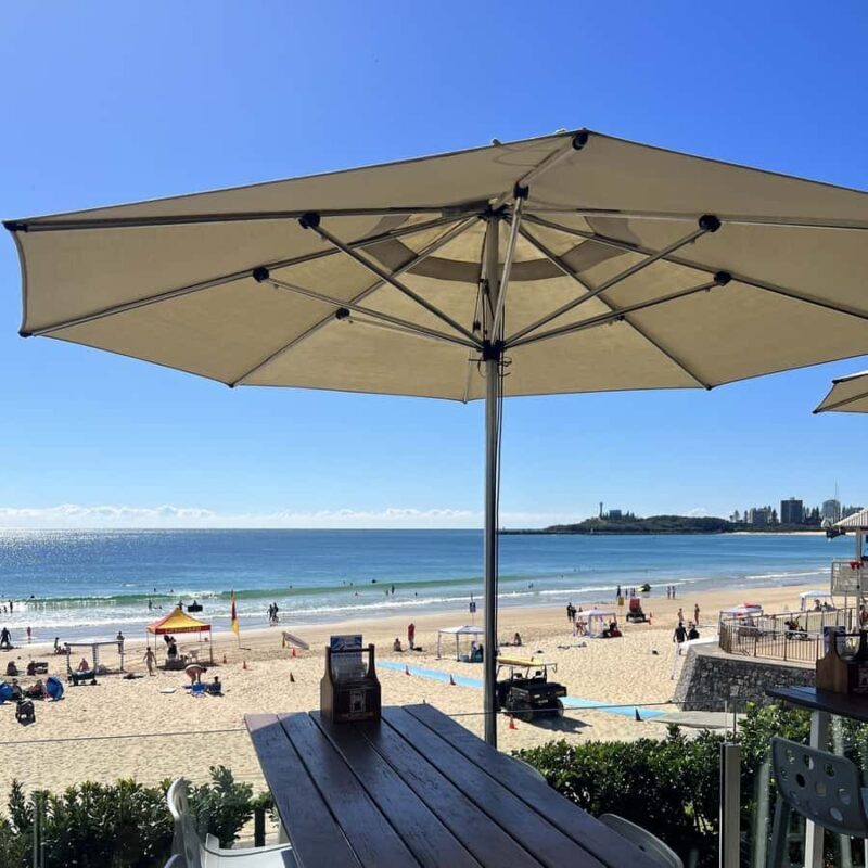 From Brisbane: Australia Zoo & Coastal Delights - Savoring Queensland’s Flavors