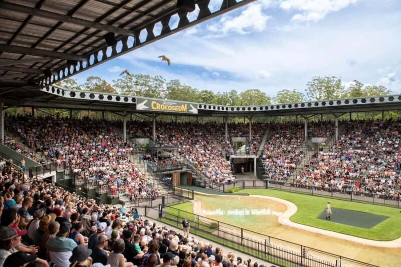 From Brisbane: Australia Zoo Transfer and Entry Ticket - Key Points
