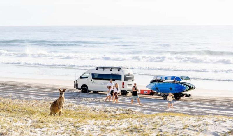 From Brisbane: Bribie Island Day Trip and 4x4 tour - How the Day Unfolds
