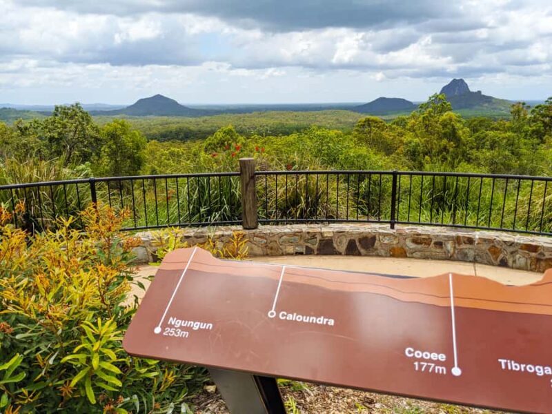 From Brisbane: Day Trip to Noosa, Glass House Mtns and Zoo - An In-Depth Look at the Tour Experience