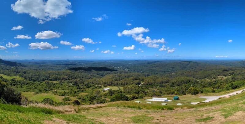 From Brisbane: Day Trip to Noosa, Glass House Mtns and Zoo - The Sum Up