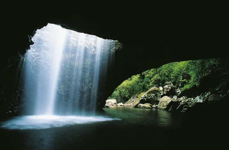 From Brisbane: Gold Coast Day Tour with Lunch - Who Will Enjoy This Tour?