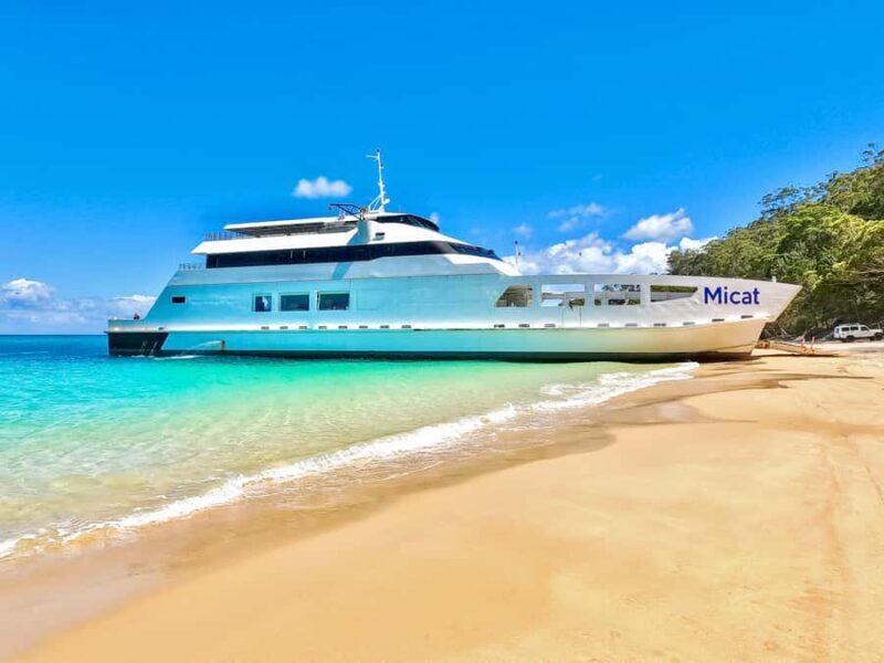 From Brisbane: Moreton Island Full-Day Trip - Key Points