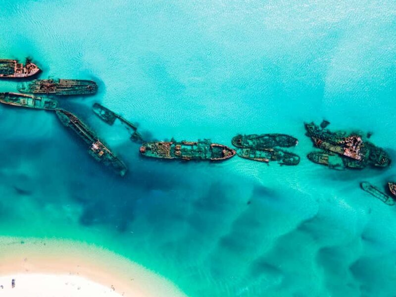 From Brisbane: Moreton Island Full-Day Trip - Setting the Scene: What to Expect on the Day