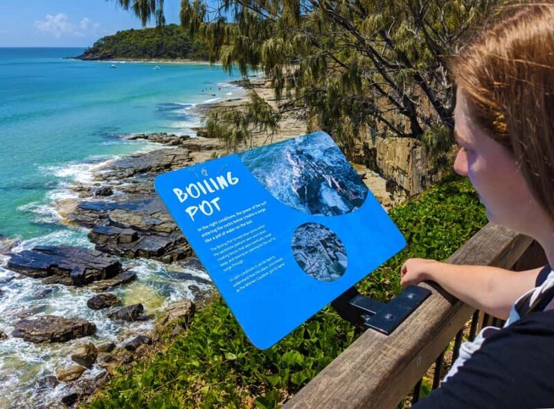 From Brisbane: Noosa & Eumundi Markets Small-Group Day Tour - The Sum Up