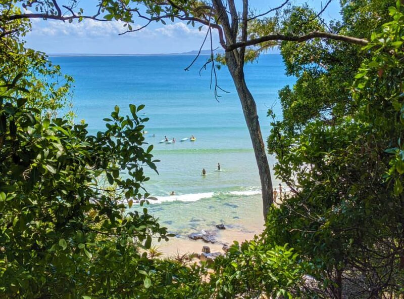 From Brisbane: Noosa & Eumundi Markets Small-Group Day Tour - FAQ