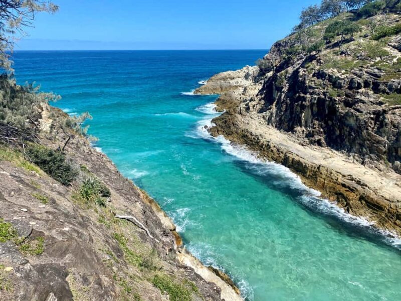 From Brisbane: North Stradbroke Island Wildlife Adventure - Key Points