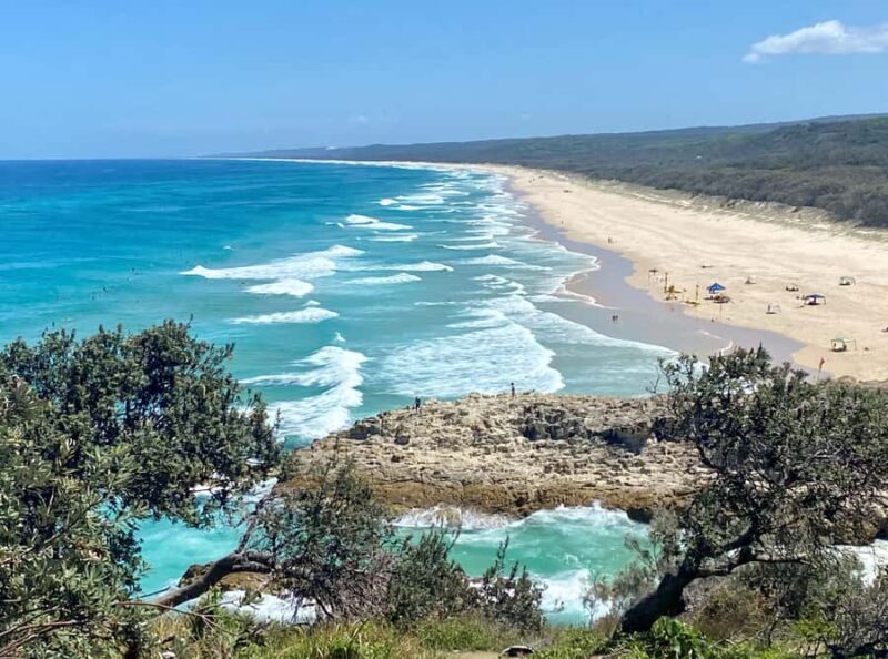 From Brisbane: North Stradbroke Island Wildlife Adventure - An Honest Breakdown: What You Can Expect