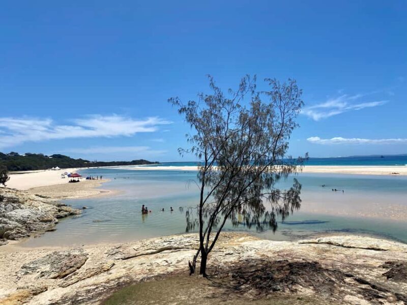 From Brisbane: North Stradbroke Island Wildlife Adventure - Who Is This Tour Best For?