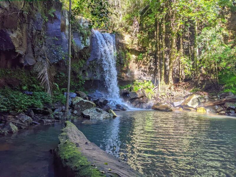 From Brisbane: Tamborine Mountain and Paradise Point Tour - Key Points