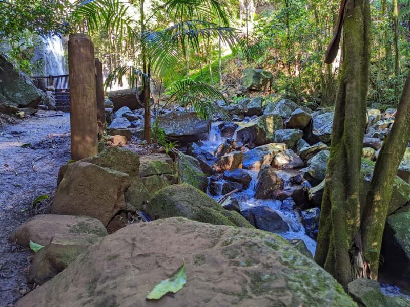 From Brisbane: Tamborine Mountain and Paradise Point Tour - Exploring the Gold Coast Hinterland