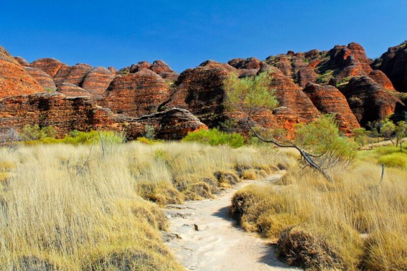 From Broome: Bungle Bungle Explorer Scenic Flight - FAQ