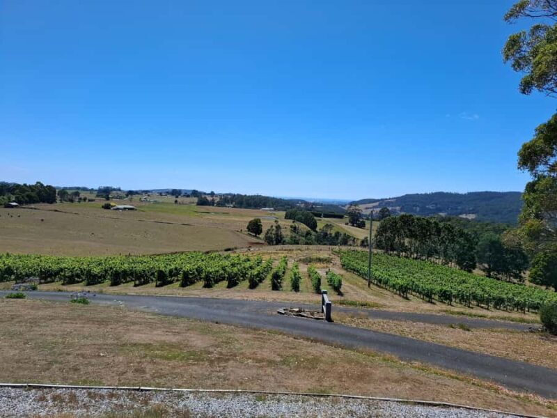 From Burnie: Tasting Trail Tour - Who Will Love This Tour?
