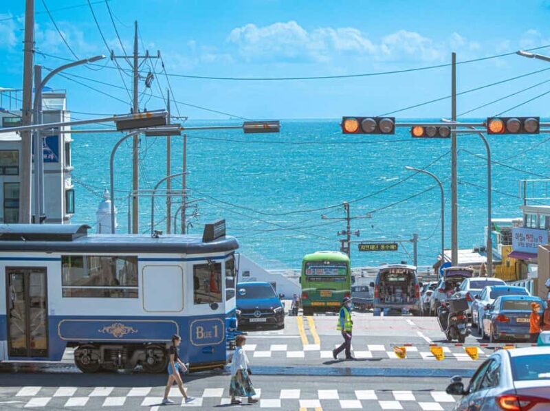 From Busan: Busan & Gyeongju One Day Tour - Price and Value