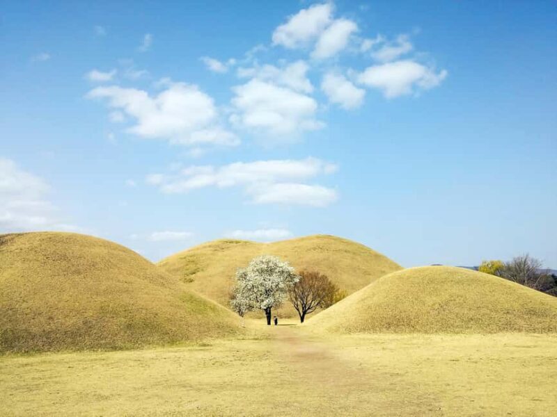 From Busan: Busan & Gyeongju One Day Tour - Who Would Love This Tour