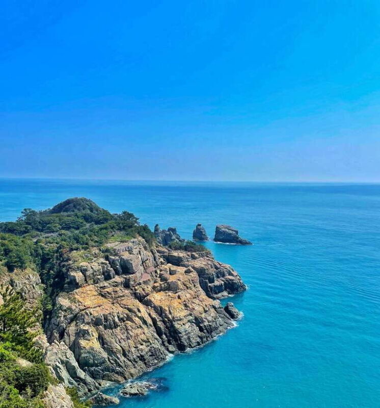 From Busan: Enchanting Oedo Island Day Tour with Windy Hill - A Detailed Look at the Tour Experience