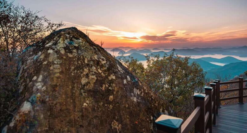 From Busan: Enchanting Oedo Island Day Tour with Windy Hill - Who Will Love This Tour?