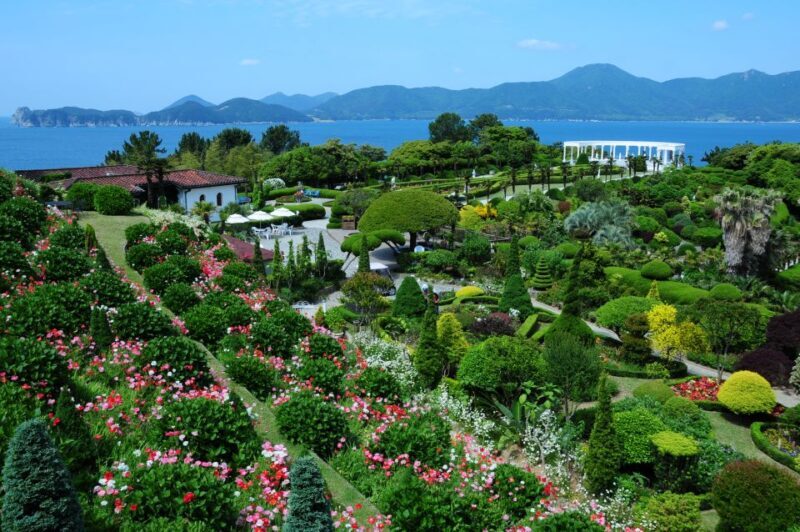 From Busan: Enchanting Oedo Island Day Tour with Windy Hill - Final Thoughts
