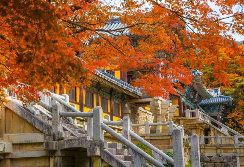 From Busan: Gyeongju UNESCO World Heritage Guided Day Tour - Who Will Love This Tour?