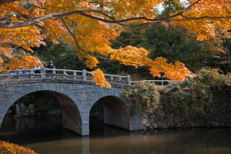 From Busan: Gyeongju UNESCO World Heritage Guided Day Tour - FAQ
