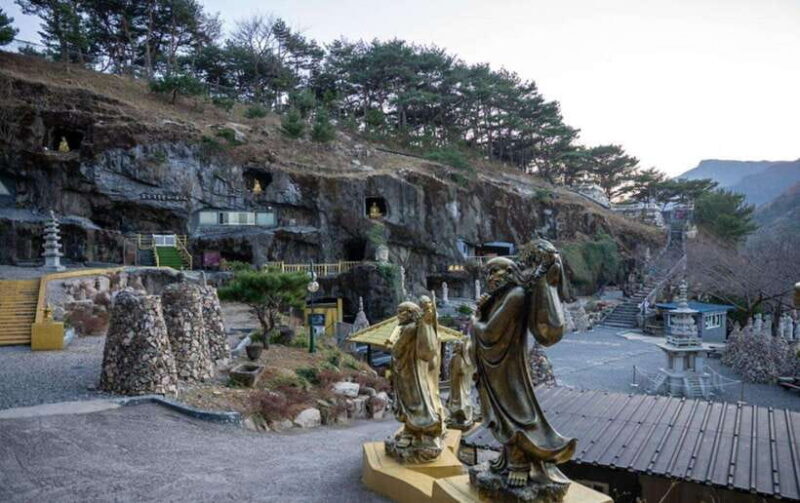 From Busan: Ulsan Full-Day Private Tour with Licensed Guide - What You Can Expect from the Ulsan Private Tour