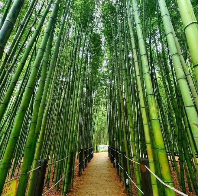 From Busan: Ulsan Full-Day Private Tour with Licensed Guide - Is It Good Value?