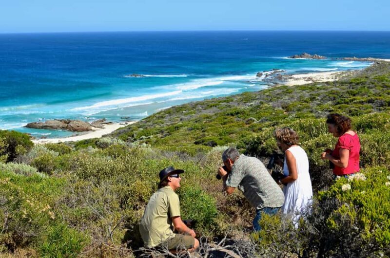From Busselton: Half-Day Coastal and Wildlife Eco Tour - An In-Depth Look at the Coastal and Wildlife Eco Tour