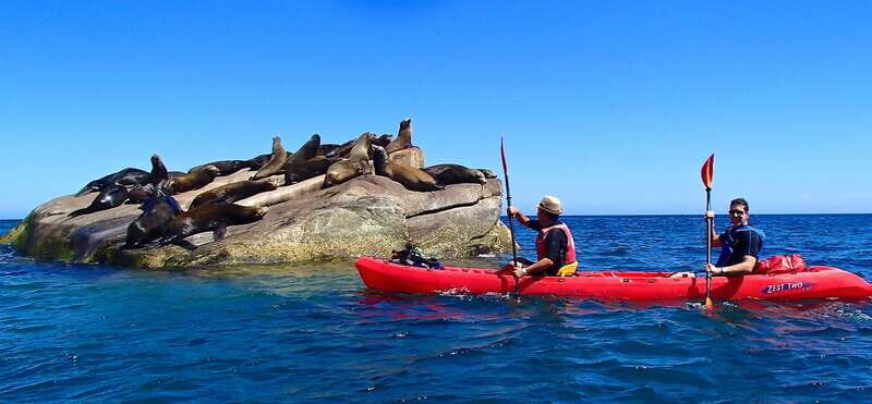From Cabo: Cabo Pulmo Marine Park Snorkeling and Kayaking - Key Points