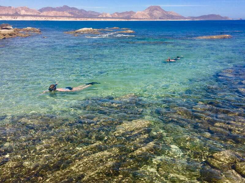 From Cabo: Cabo Pulmo Marine Park Snorkeling and Kayaking - An In-Depth Look at the Corals, Waters, and Wildlife