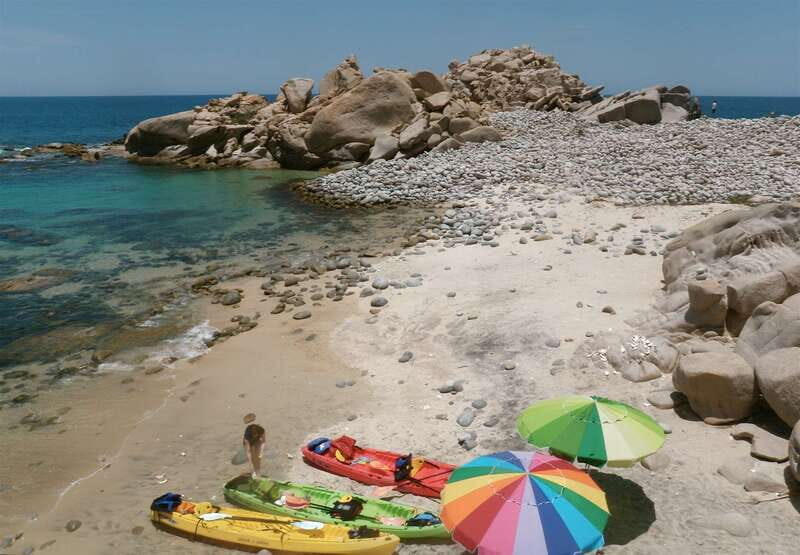 From Cabo: Cabo Pulmo Marine Park Snorkeling and Kayaking - A Closer Look at the Experience